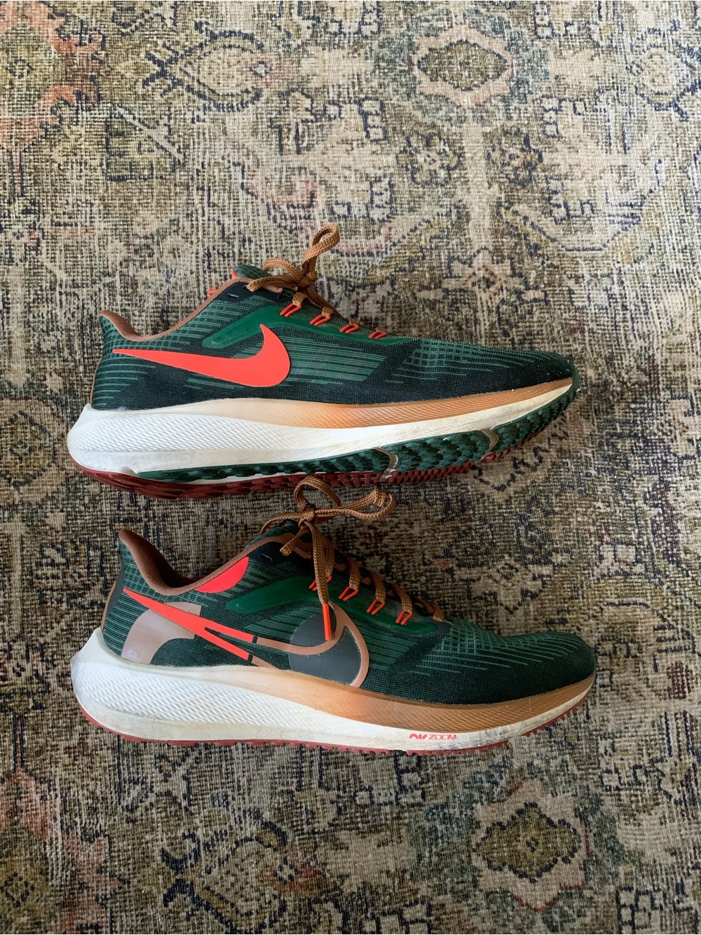 Nike Air Zoom Pegasus 39 AIR Hola Lou Men’s Running Shoes Size 11